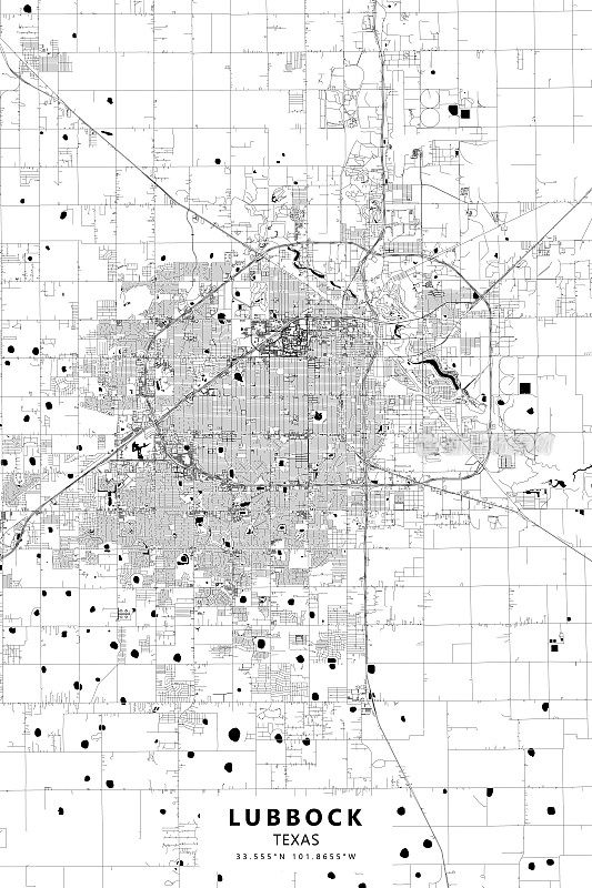 美国德克萨斯州拉伯克矢量地图