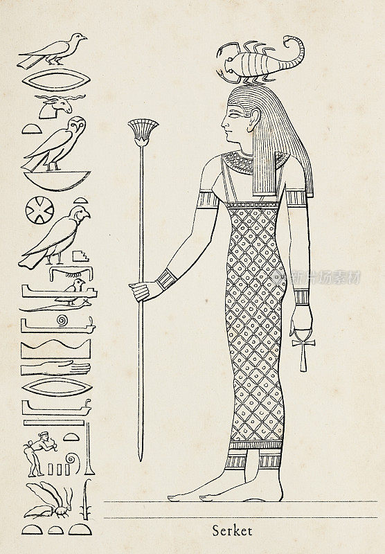 塞克特的古埃及象形文字，生育女神
