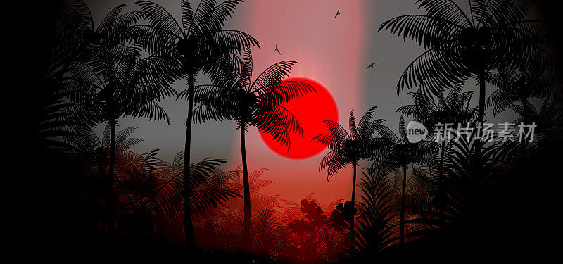 夕阳的背景，与棕榈树的剪影