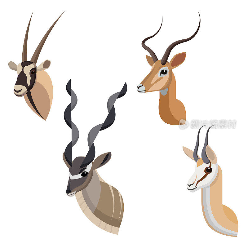 非洲羚羊或瞪羚肖像集制作独特的简单卡通风格。大羚羊、大捻羚、黑斑羚和跳羚的头。独立的艺术风格图标或标志为您的设计