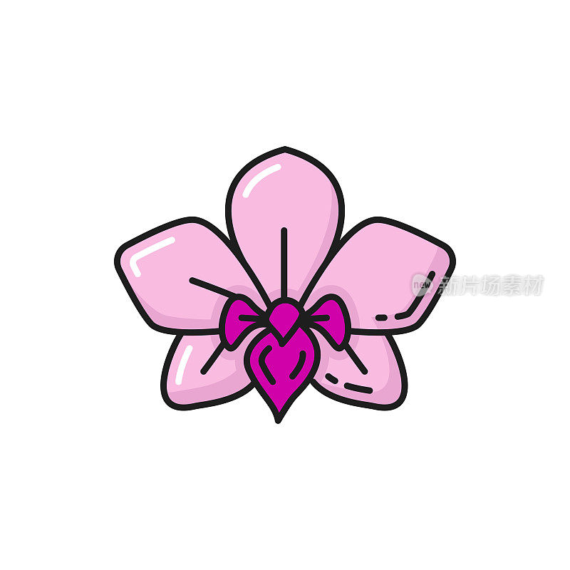 石斛兰粉红色花朵孤立线图标