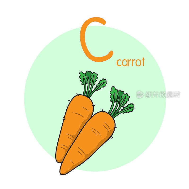 胡萝卜向量插图与字母C大写字母或大写字母的儿童学习练习ABC