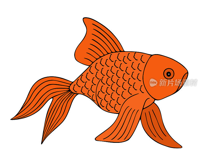 金色的鱼。扇尾。池塘和水族馆的居民。橙色的宠物。颜色向量插图。卡通风格