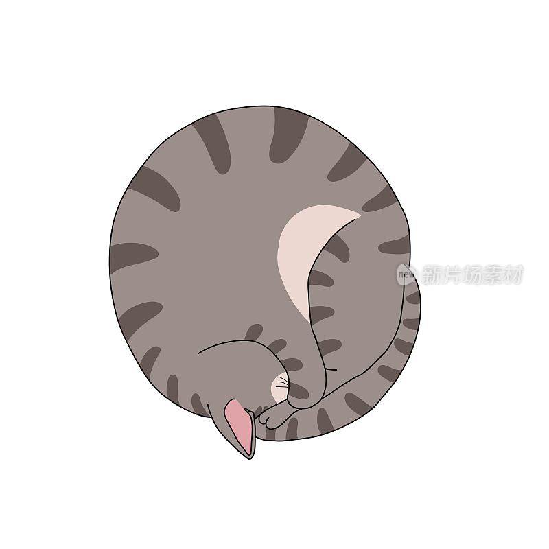 猫睡觉roll姿势卡通矢量插图