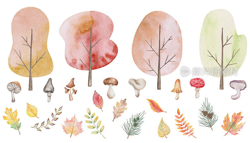 水彩画的手绘树与叶子，蘑菇，香菇，蝇草，真菌。森林，林地，公园植物