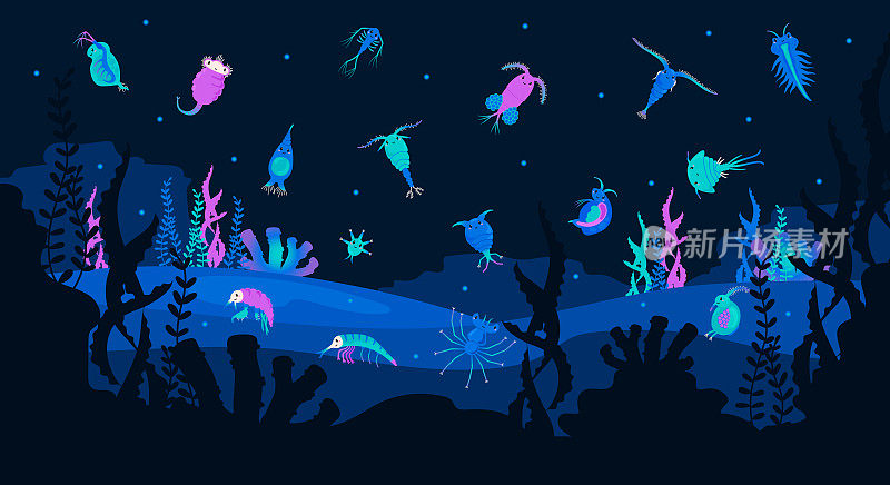 海底世界的浮游生物和微小的微生物，平面矢量插图。