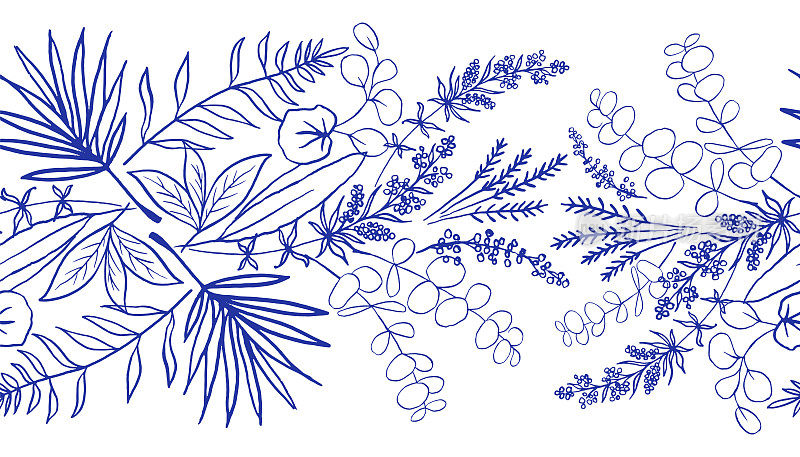 无缝边界与蓝色蕨类，桉树和草药在白色背景。中国风格的启发。
