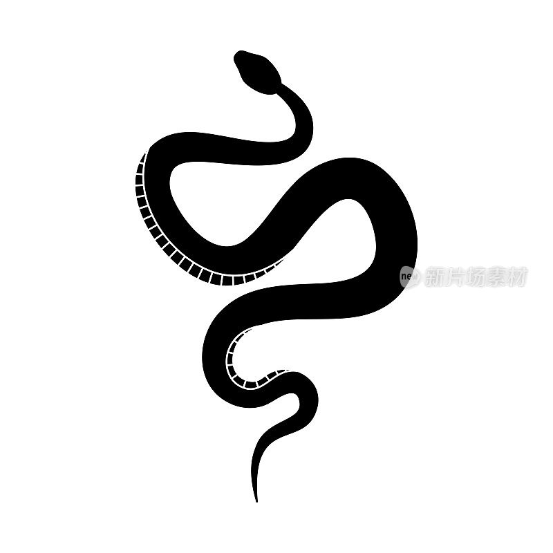 黑色剪影蛇。孤立的爬行动物符号，野生动物图标蛇在白色的背景。自然矢量插图。