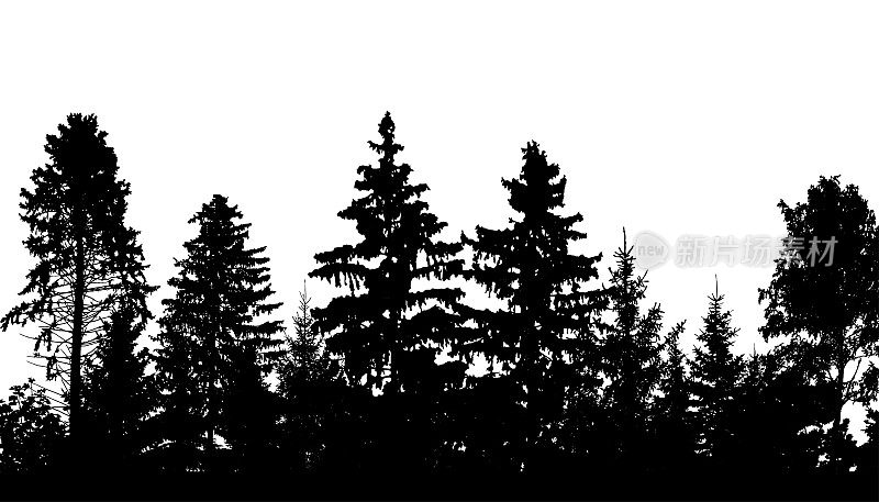 森林剪影，冷杉，松树和不同的落叶树木。矢量插图。