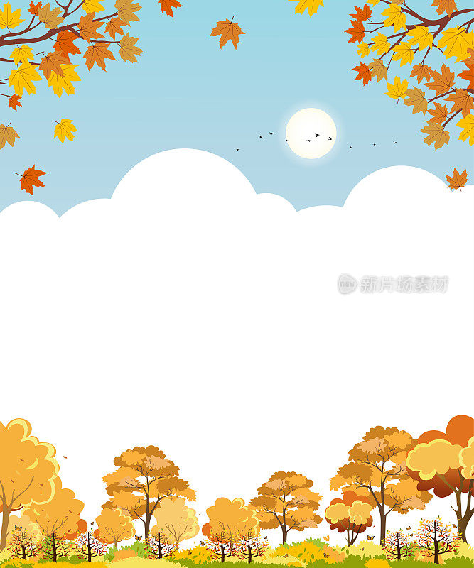 秋天的风景与枫树森林和云在蓝天的背景，矢量可爱的卡通秋天季节与橙色的树叶，和平的自然在阳光明媚的日子，秋天的背景与文字的复制空间