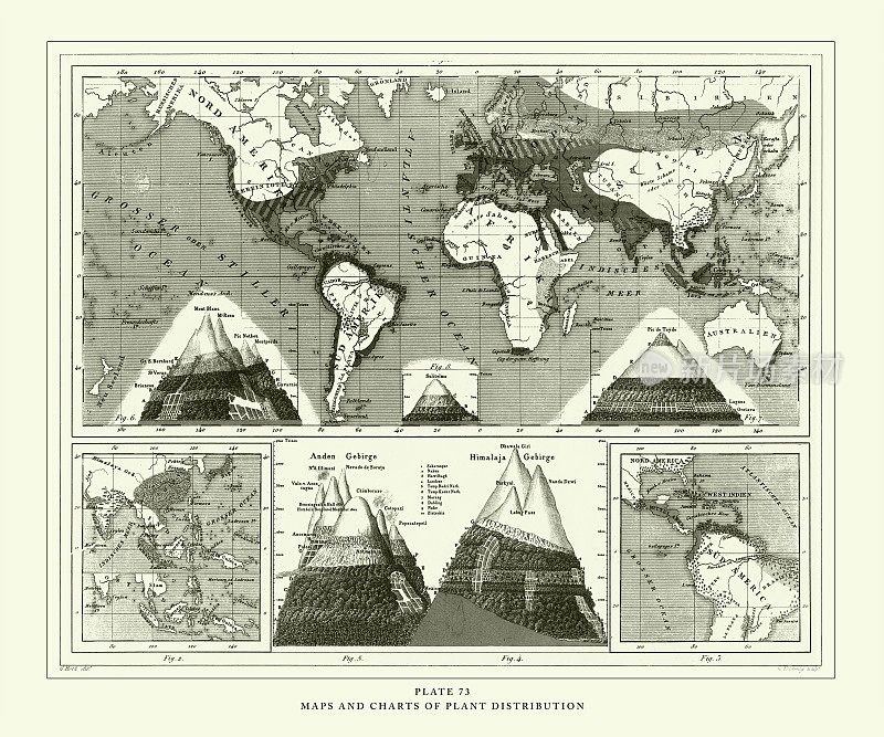 雕刻古玩，植物分布地图和图表，雕刻古玩插图，1851年出版