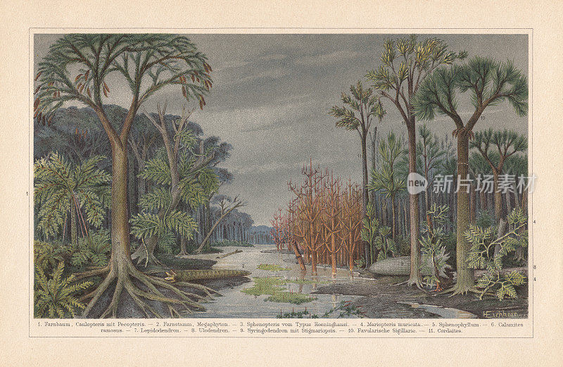 植物的硬煤时代，色板，出版于1899年