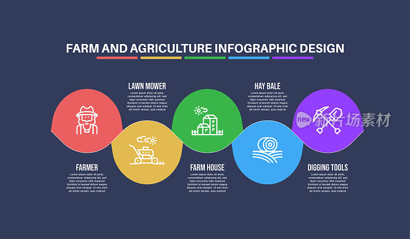 与农场和农业关键字和图标的信息图表设计模板