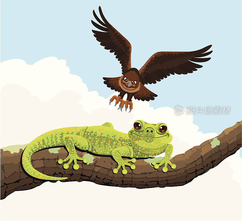 Eagle_and_Gecko