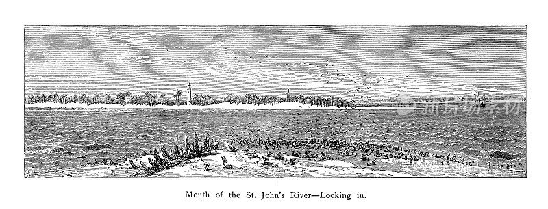 佛罗里达圣约翰河口，美国历史插图