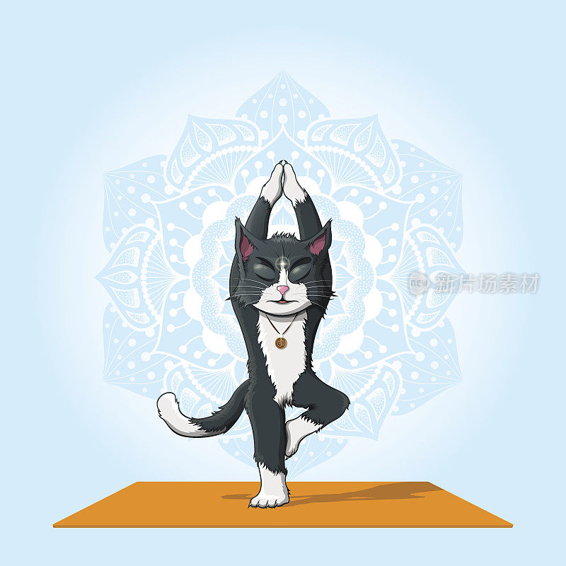 猫练习瑜伽