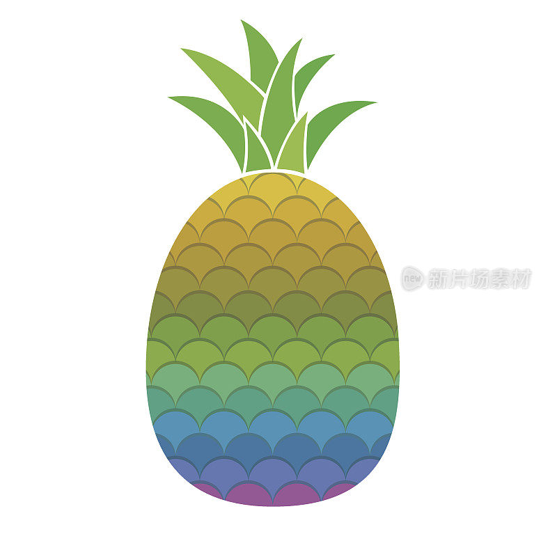 菠萝插图
