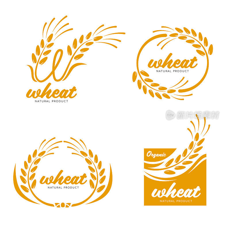 黄色稻谷、小麦、稻谷产品、食品旗帜标识矢量艺术设计