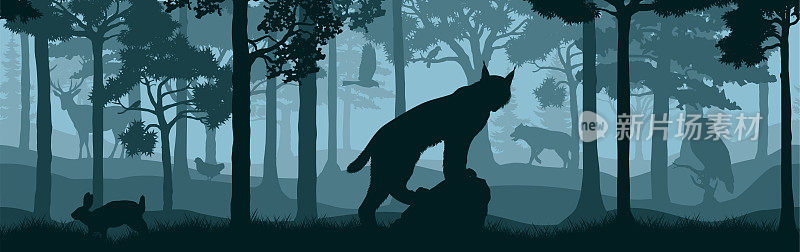 矢量森林林地背景纹理无缝模式与猞猁，狼，兔子，鹿，鹰和鹰