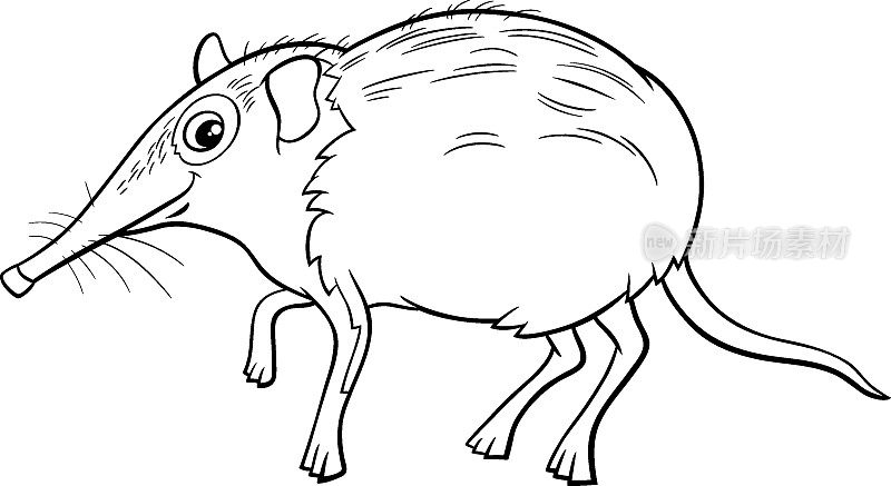 卡通象鼩动物人物涂色书页