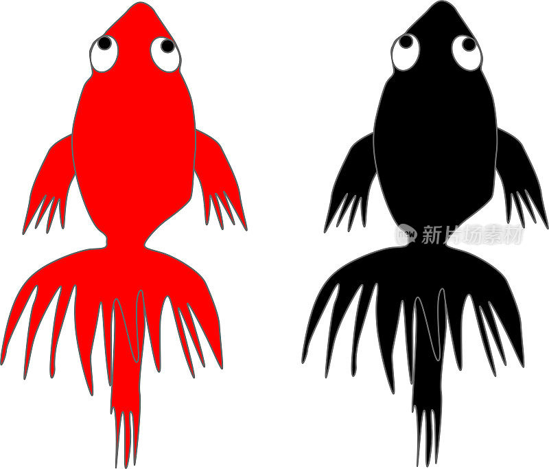 红色和黑色插图金鱼