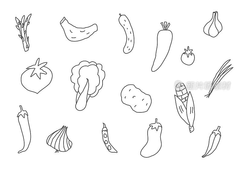 一套手绘的蔬菜插图