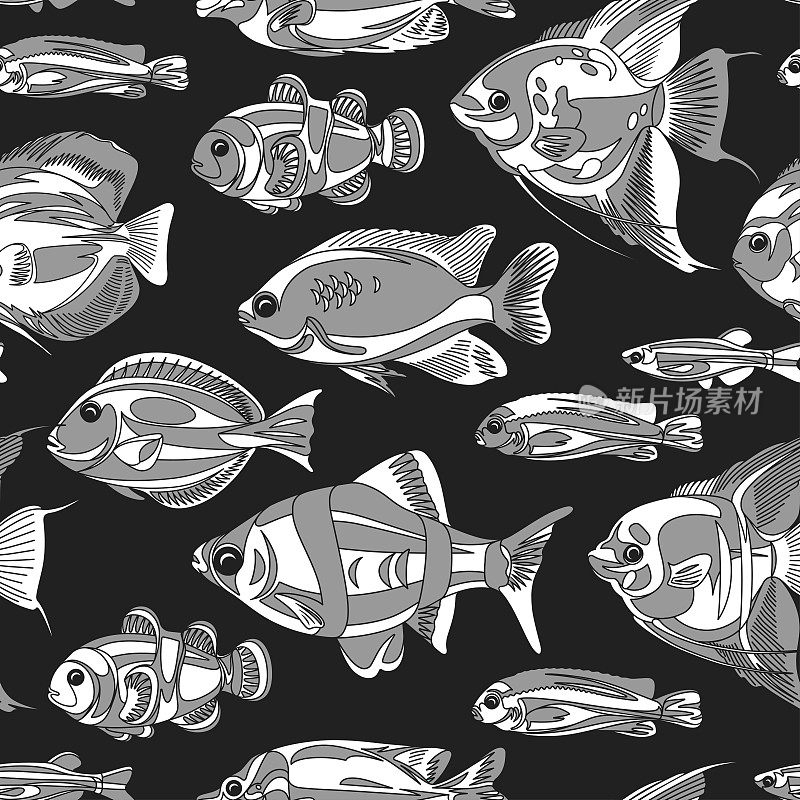 无缝图案与鱼孤立在一个黑色的背景。水下生命的插图。