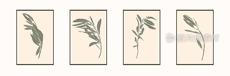 植物墙艺术套装。抽象造型的橄榄线艺术画。抽象植物艺术设计的印刷，封面，墙纸，最小和自然的墙壁插画。