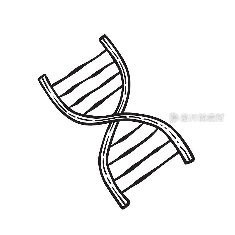 DNA