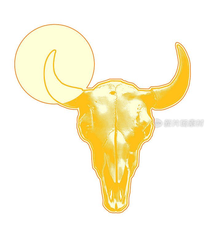 牛-动物的头骨和角