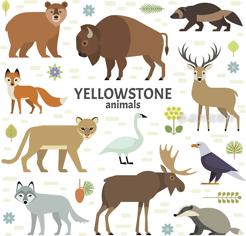 矢量插图的黄石国家公园的动物