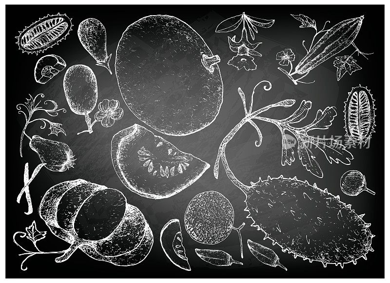 手画的葫芦和南瓜水果