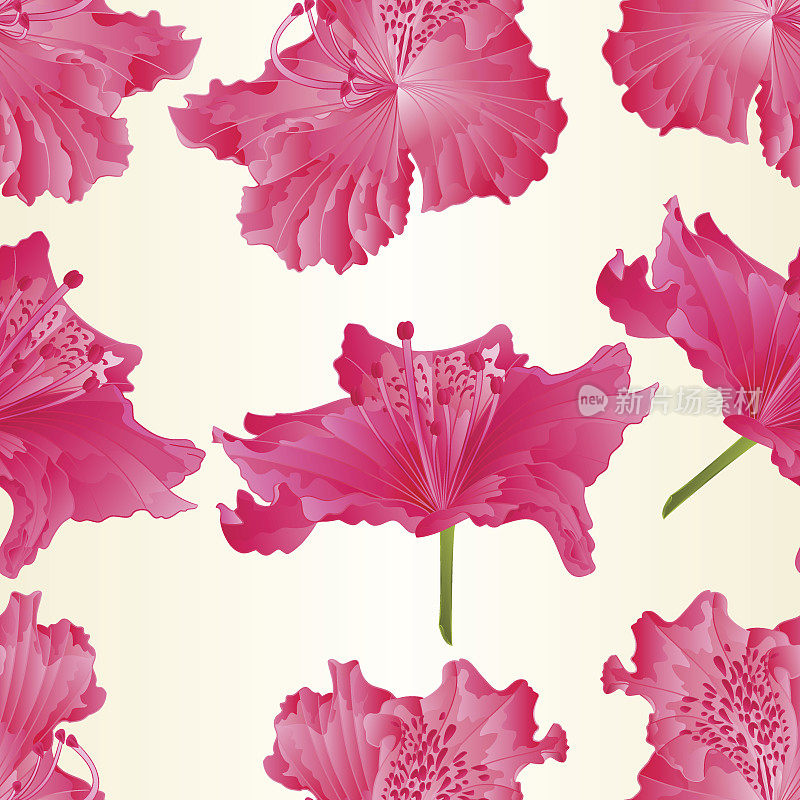 无缝纹理美丽的粉红色杜鹃花Ponticum矢量插图编辑