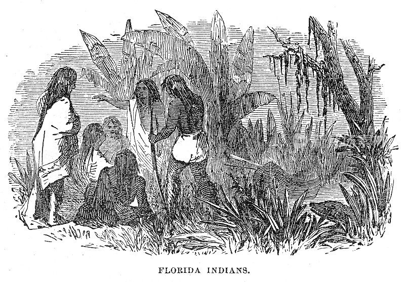 1871年雕刻的佛罗里达印第安人