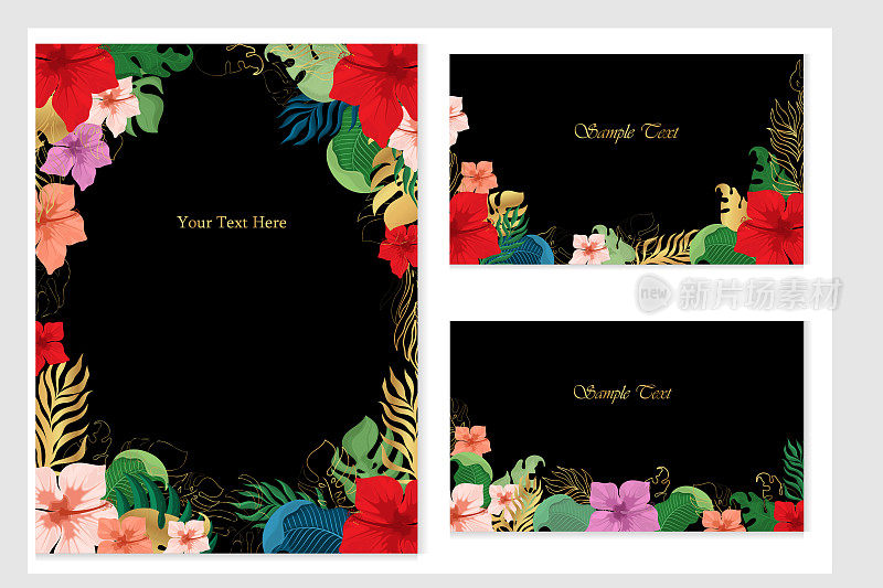 一组向量卡片。黑色背景上的热带植物和花卉。