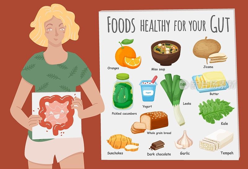 对肠道健康最重要的食物。健康产品集合。