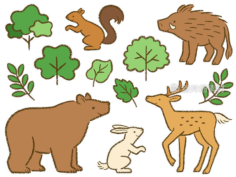 插图森林动物和绿色的树木和树叶