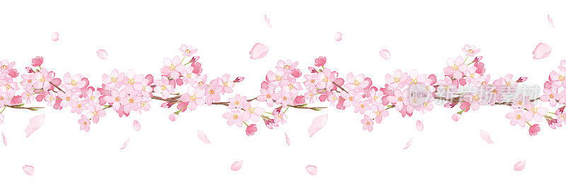 樱花水彩插图。水平线装饰。无缝模式。