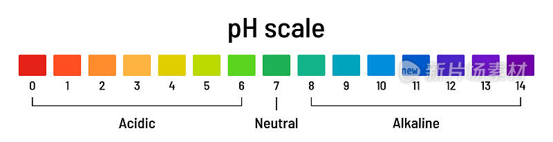 Ph值范围图。白色背景上的酸碱溶液图。酸碱平衡，化学分析，矢量插图