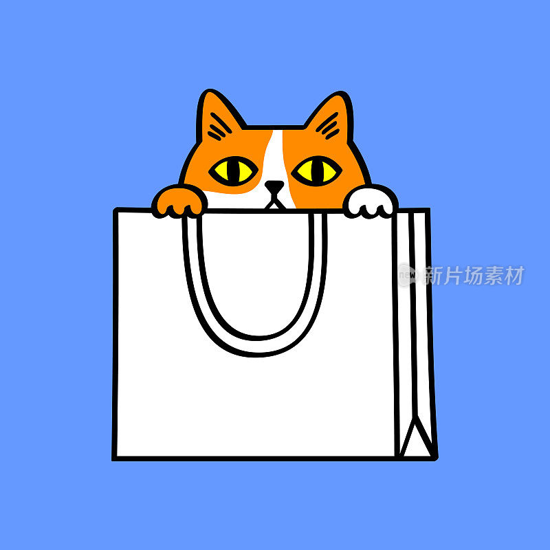 购物袋里的猫