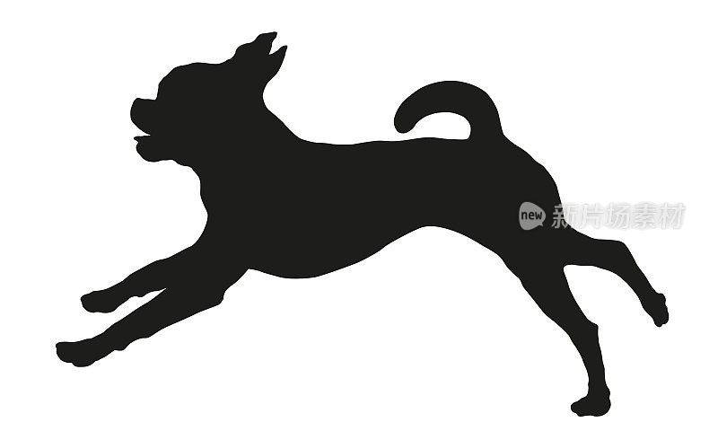 奔跑和跳跃的小布拉班肯小狗。黑狗轮廓。宠物的动物。孤立在白色背景上。