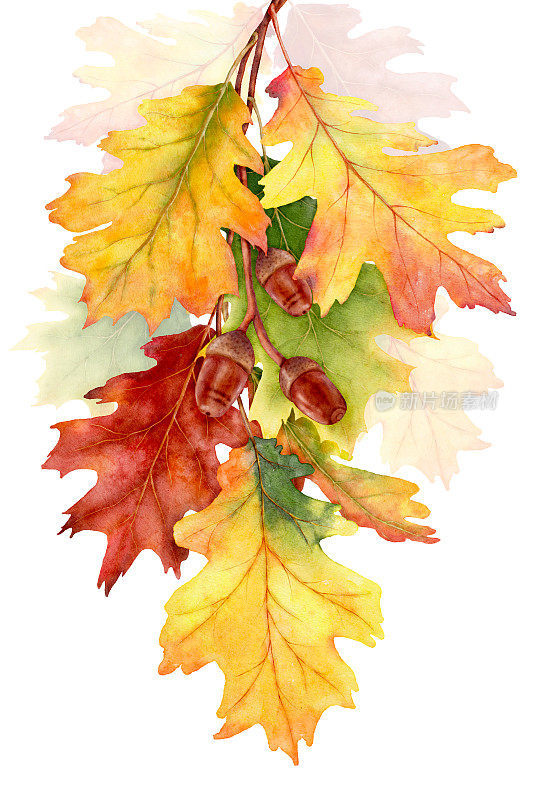 水彩树叶和树枝在秋天的季节