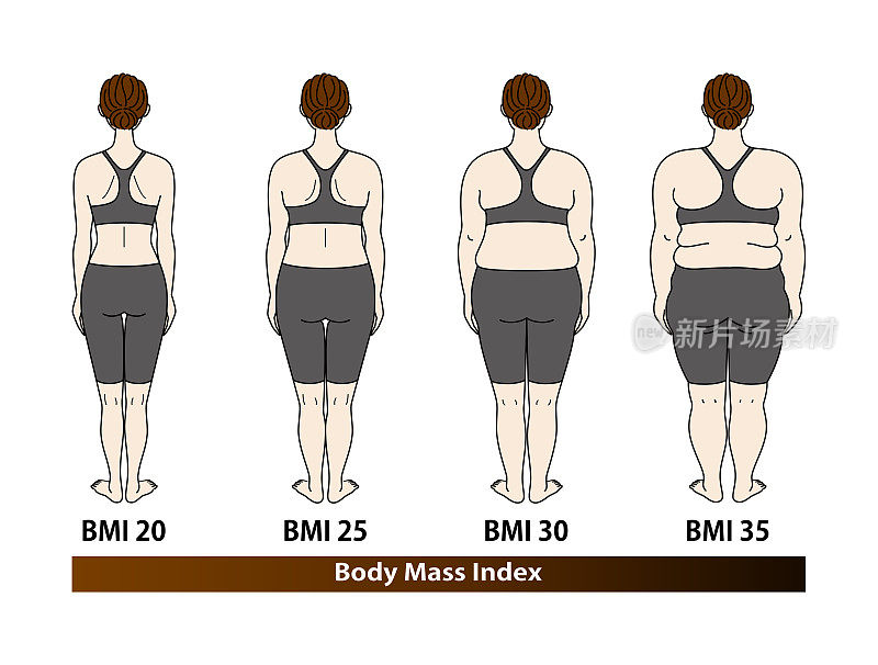 体型随体重指数变化。女性后视图。BMI(身体质量指数)向量。