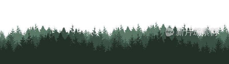 逼真的森林矢量插图广泛的全景景观-绿色剪影的冷杉和云杉树林，孤立在白色背景长