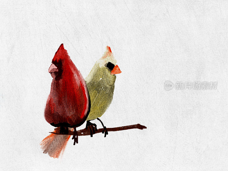 红衣主教(愤怒的小鸟)，水彩风格。有质感的白纸背景。副本的空间。