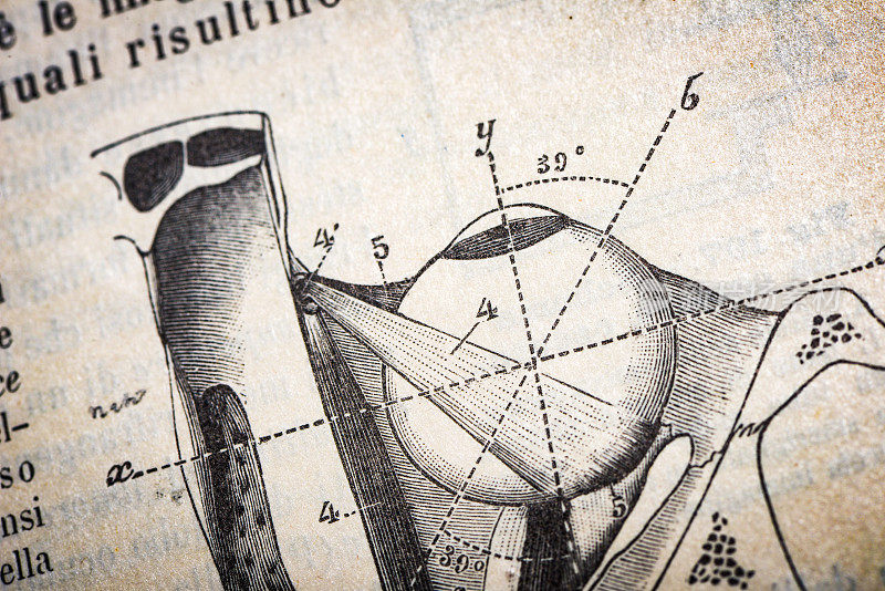 古董医学科学插图高分辨率:眼睛