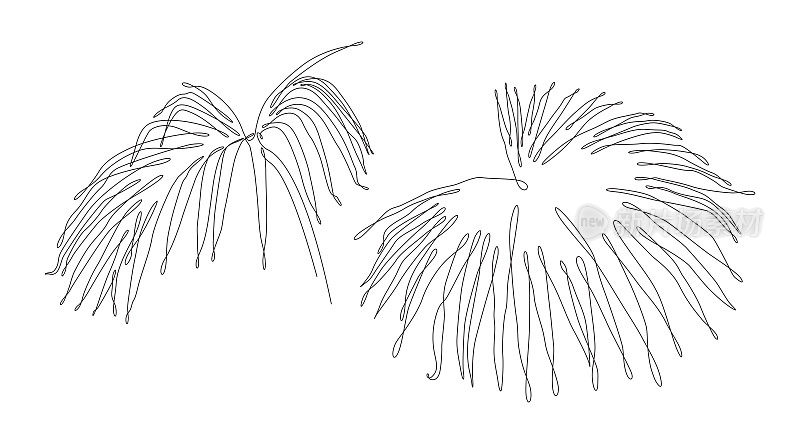 棕榈叶连续线条绘制
