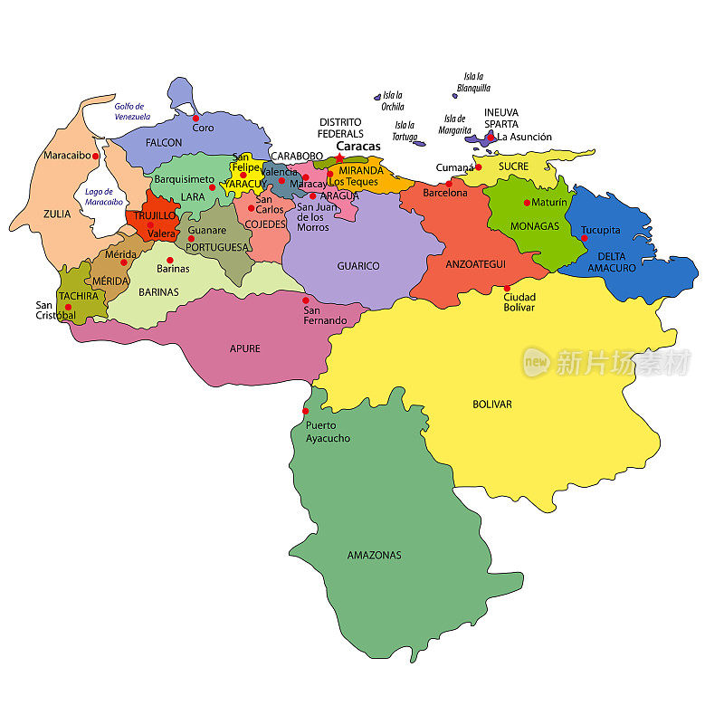 矢量政治地图的委内瑞拉