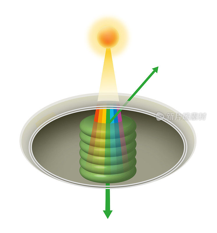 植物细胞对颜色光的反射与吸收