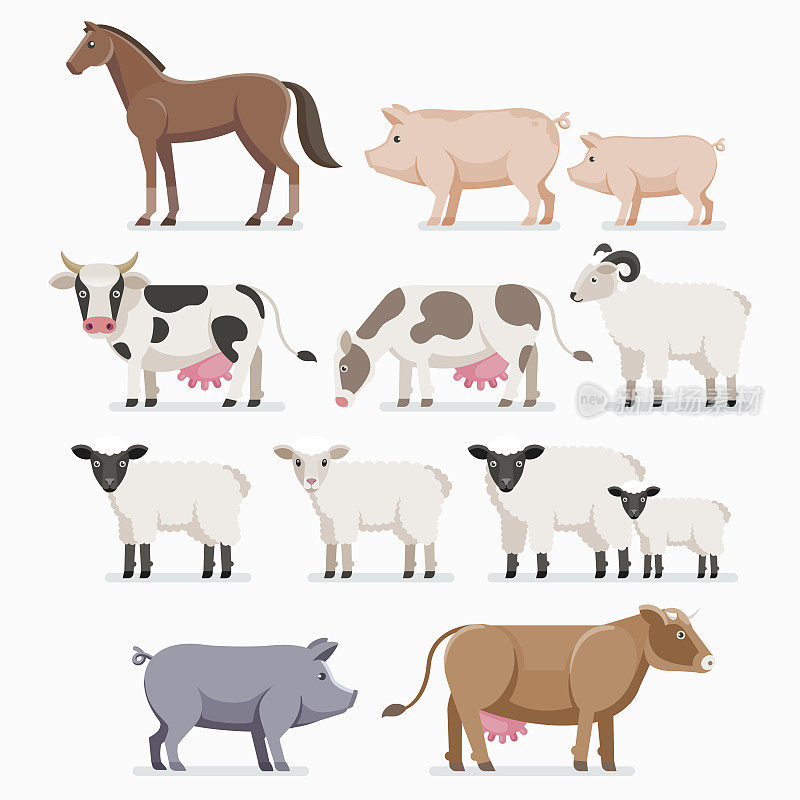 动物庄园。马、猪、牛、山羊和绵羊。